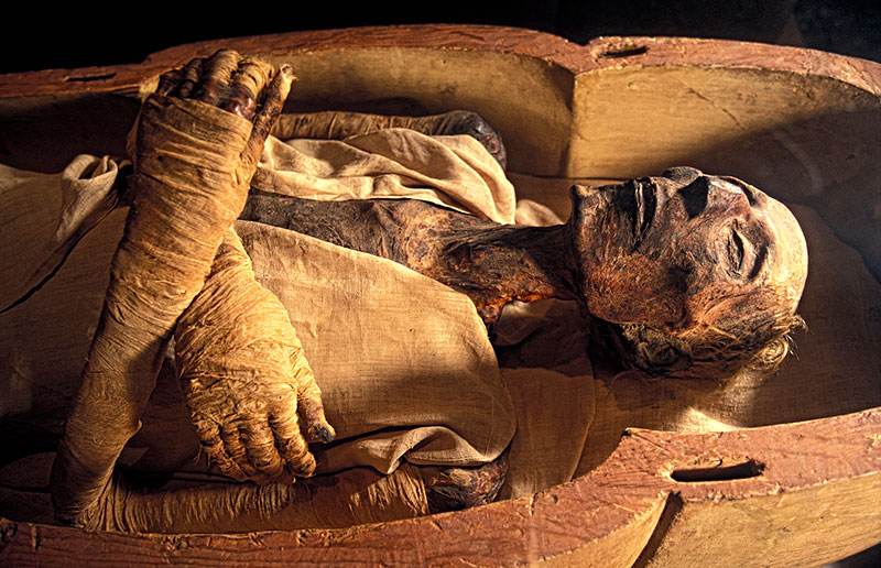 3000年前的木乃伊图片