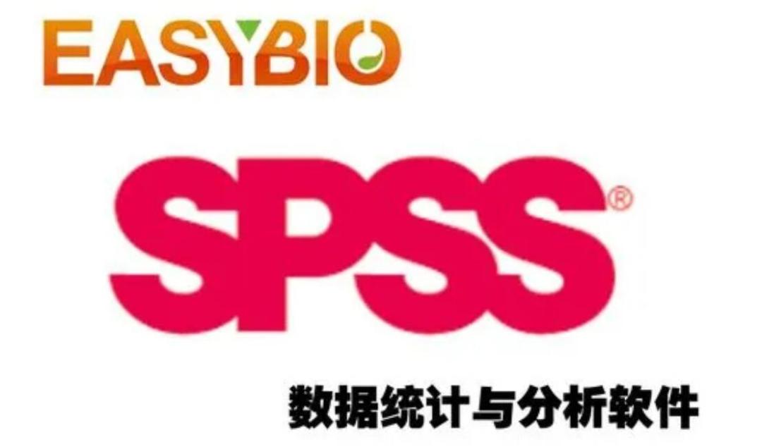 spss桌面图标图片