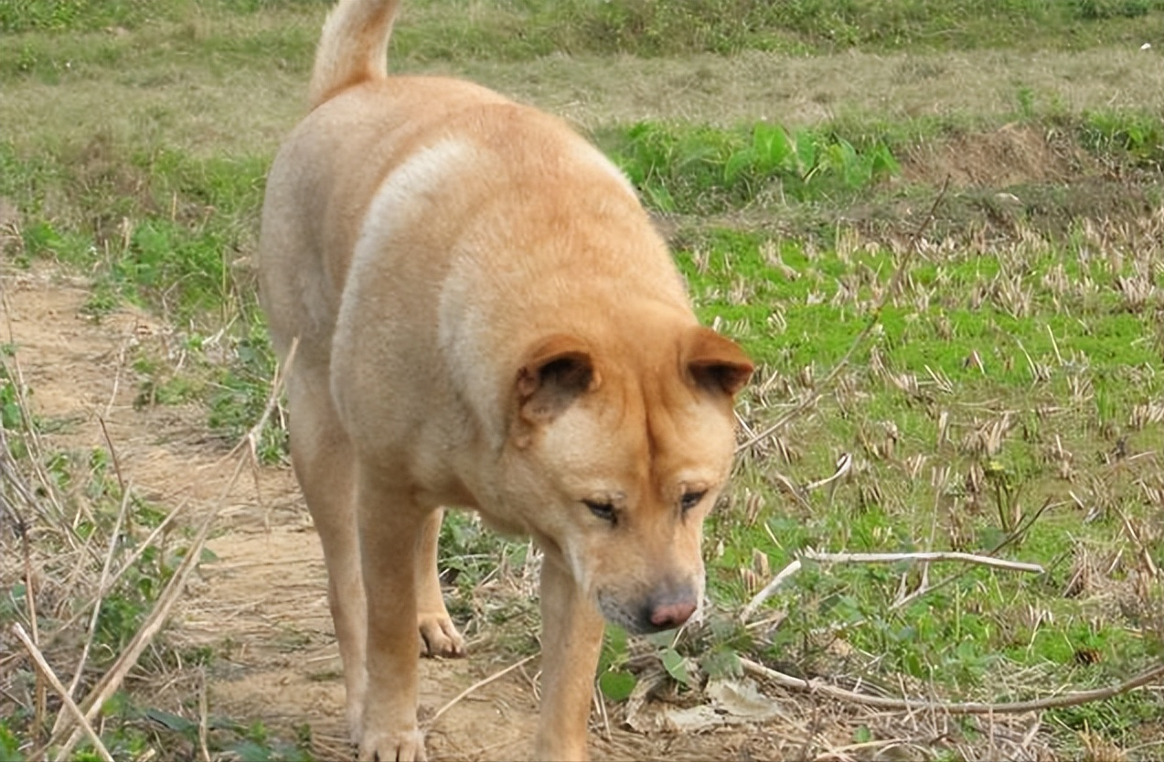 滴答河传奇(四十)