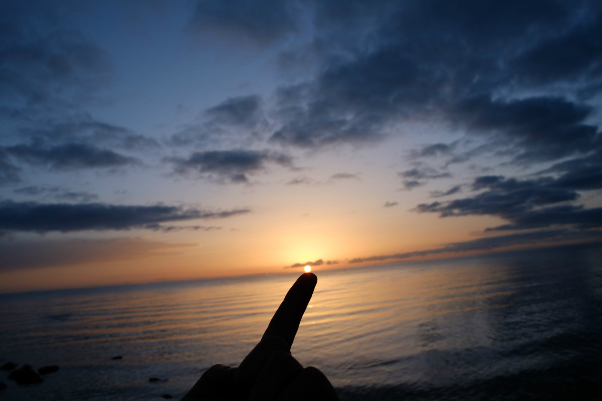 你要相信,一见钟情就是最原始的冲动