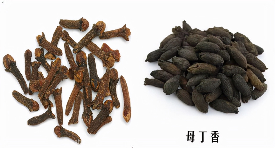 都知道丁香油钓鱼好用,但你知道丁香油的制作和使用方法吗?