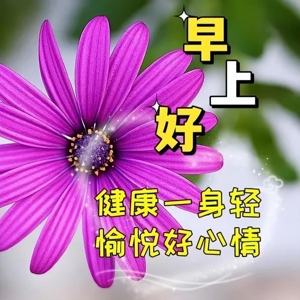 中老年朋友早安问候语图片