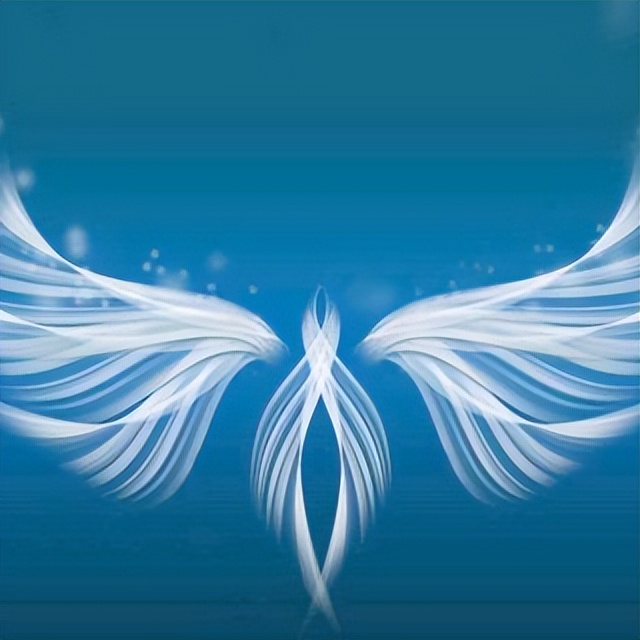 满分作文《隐形的翅膀》,每个梦想的起飞都需要这样的"翅膀"