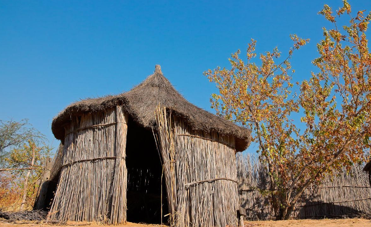 不顾家人反对嫁去非洲,看到丈夫一家住的茅草屋,我进门就吓晕了