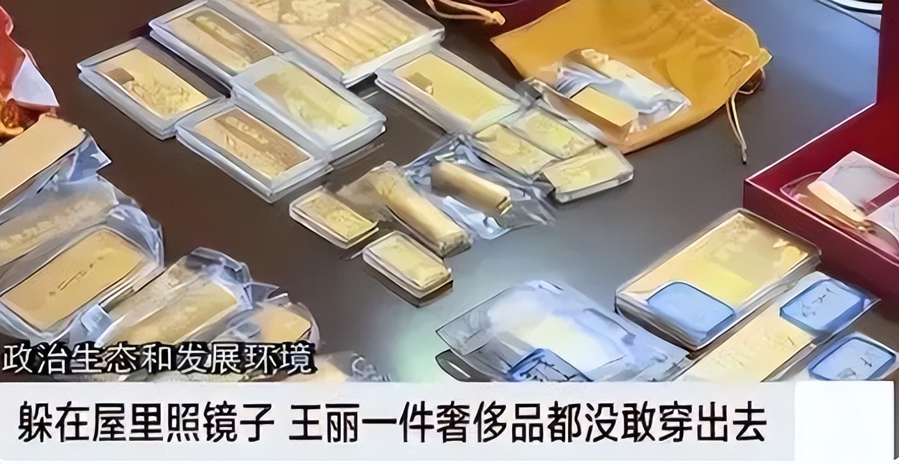 案例:青海女巨贪王丽,买千万豪宅藏奢侈品,脏物让丈夫不忍直视