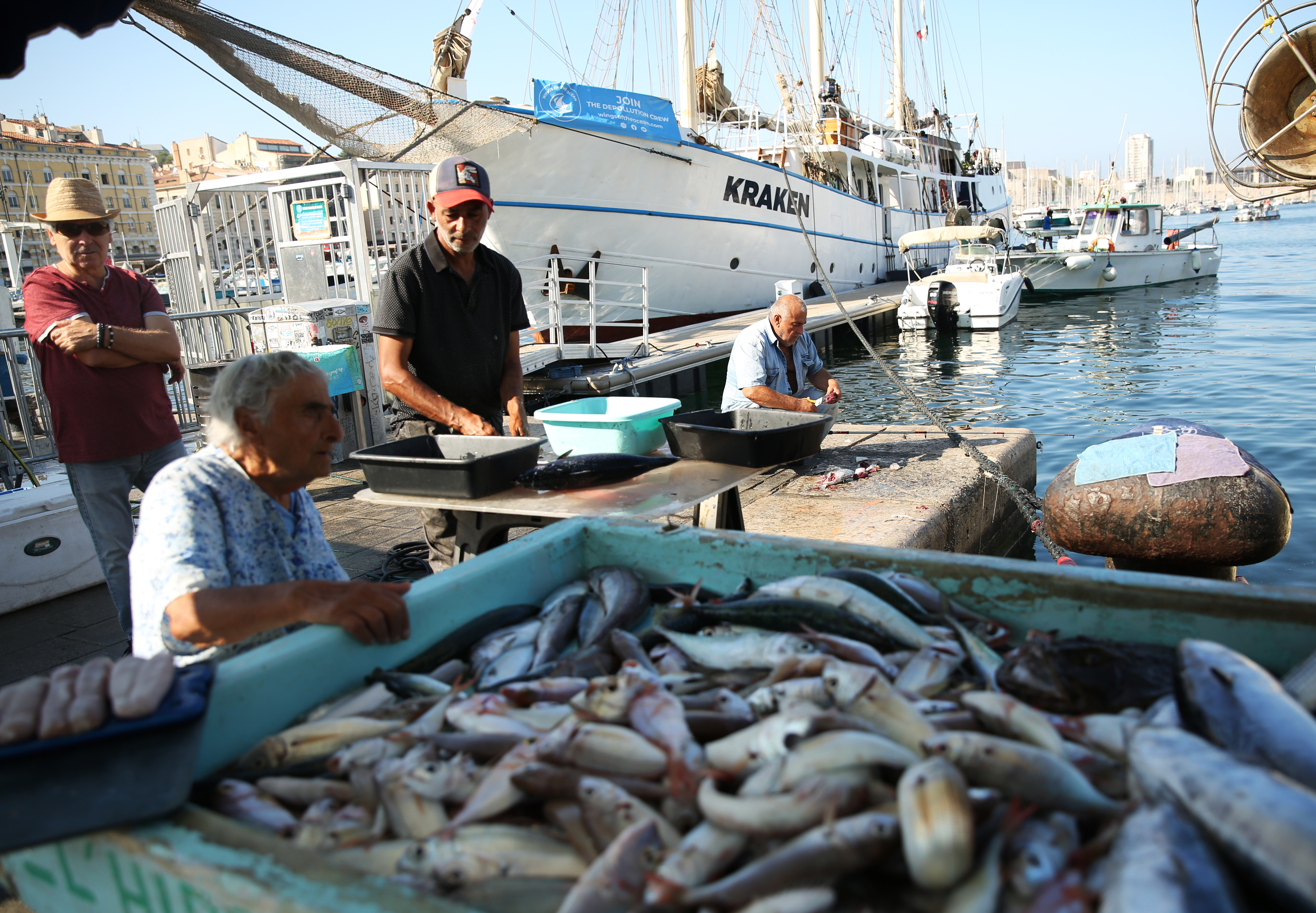 法国马赛:老港鱼市(8)