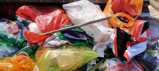 装菜的"塑料袋"放进冰箱或会致癌?实验揭晓答案,早知早受益