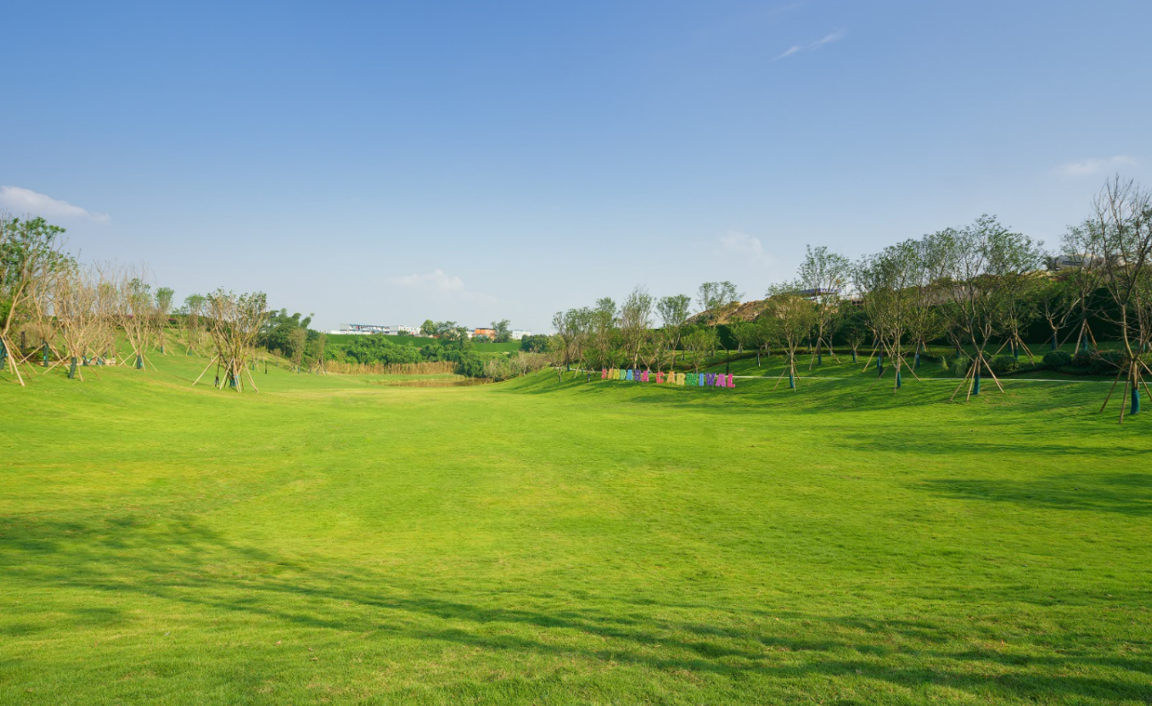 重庆春风度云之谷大草坪,仿佛是.@川渝周边游的动态