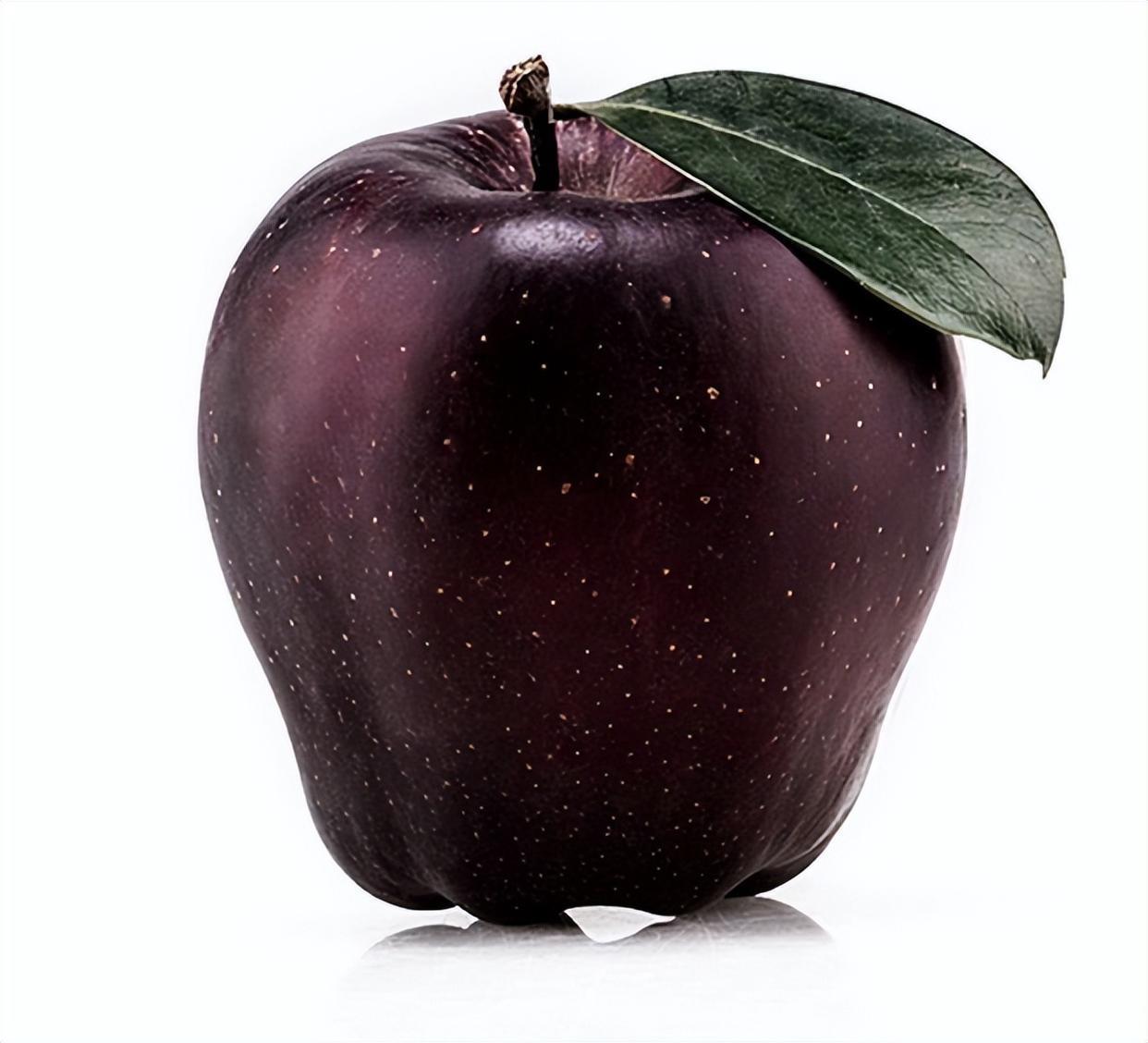 黑苹果树我国独有,耐寒抗冻好生长,果实甜蜜多汁又营养