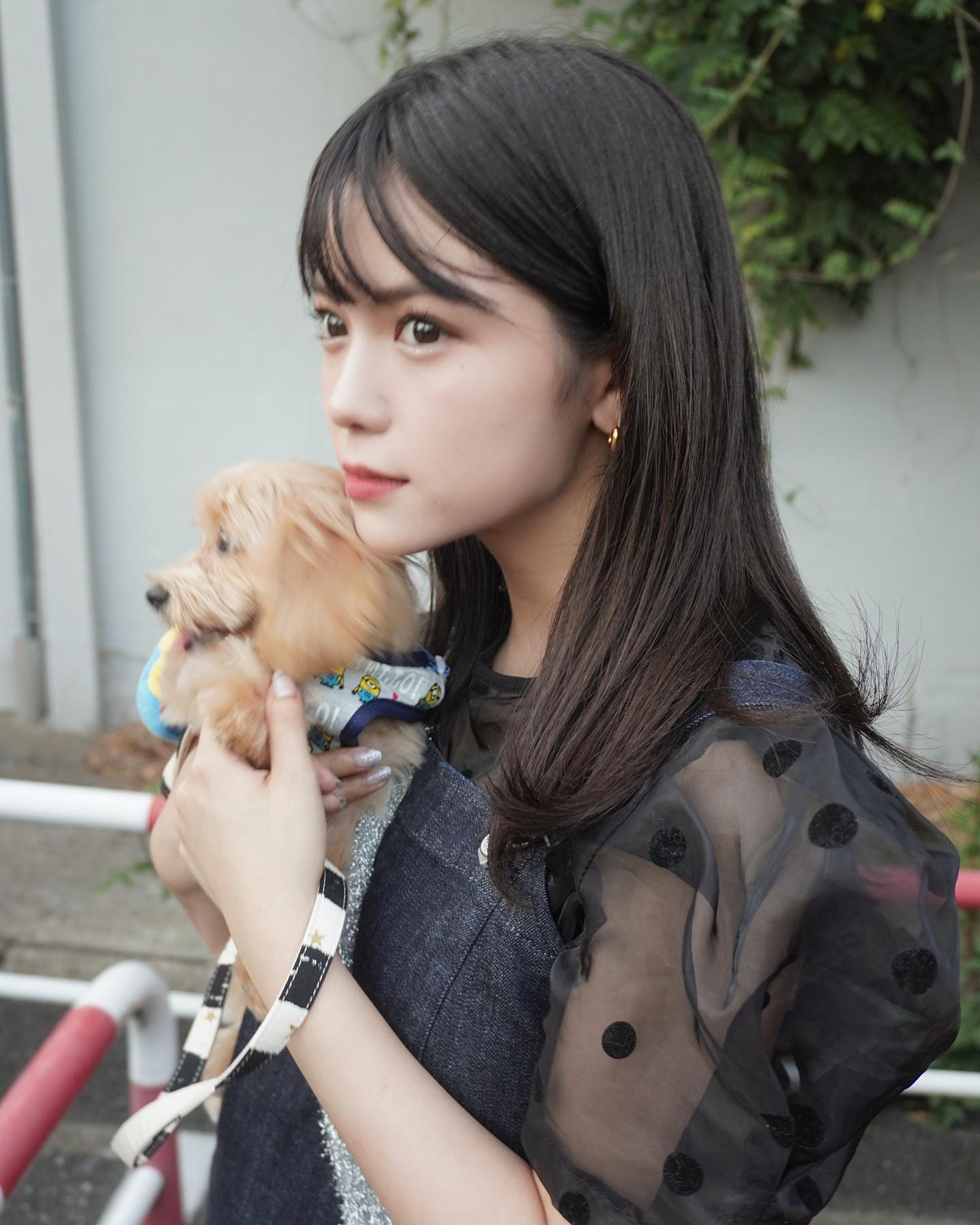 奥特曼女主中,最爱养狗的演员,当属德凯剧中的桐野唯千夏