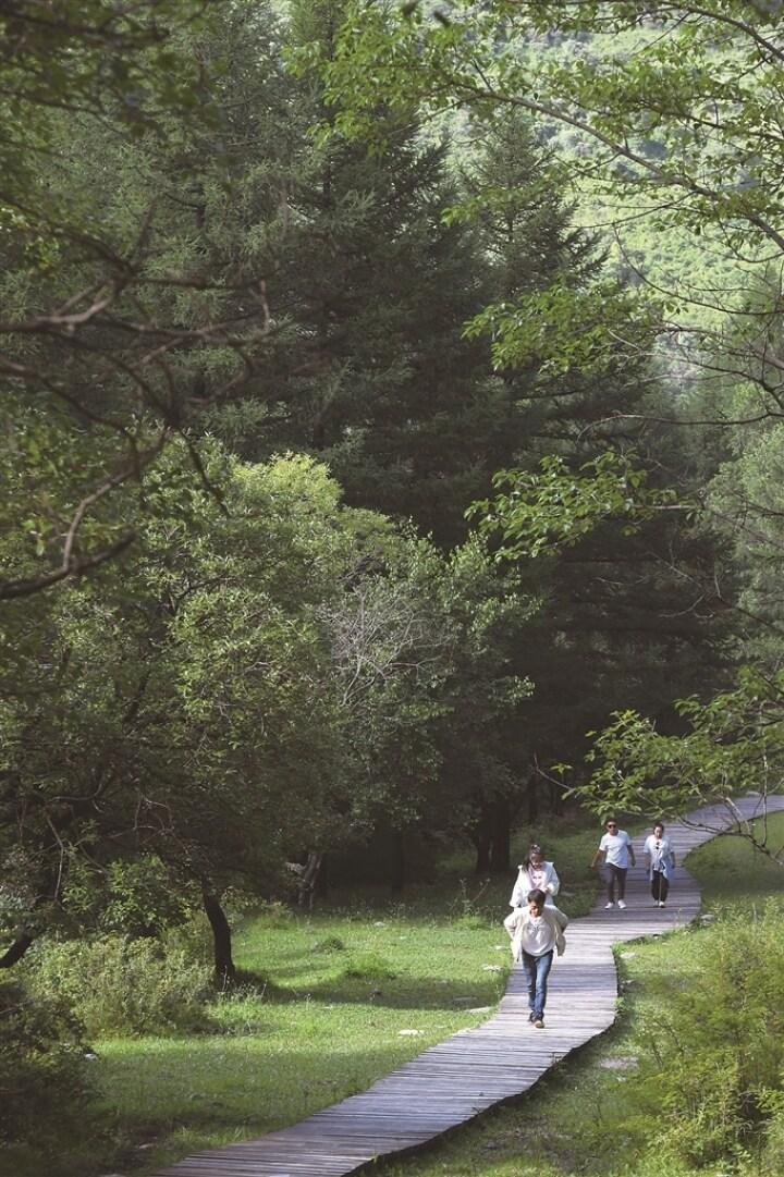 饮马池景区位于岚县河口乡饮马池山,景区面积5平方公里,饮马池山主峰