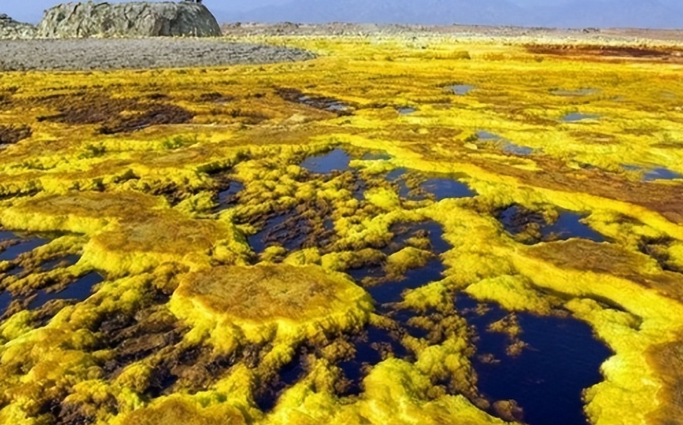 地球上最热的地方堪比地狱,60度高温下仍然有人生活得舒适自如