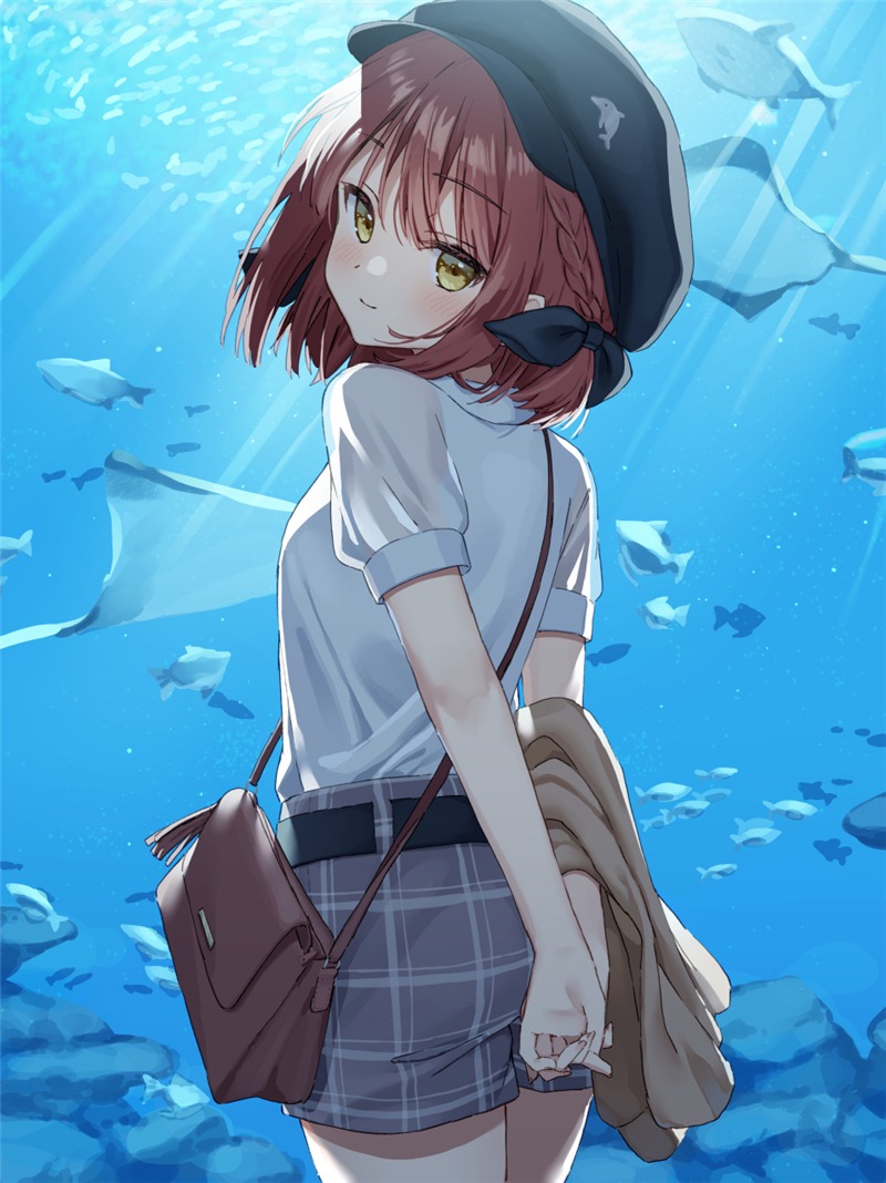 约会圣地!水族馆特辑p站二次元美图欣赏