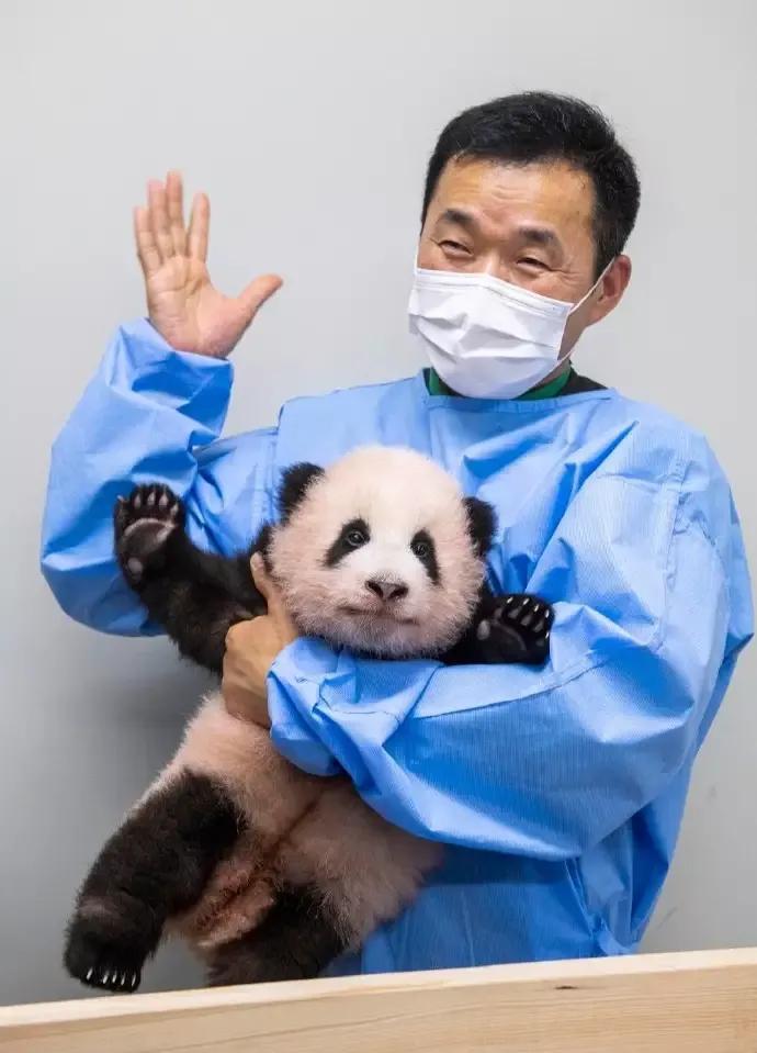 15天福宝就睁开了眼睛,两个妹妹要几天?猫粉给答案了,出乎意料