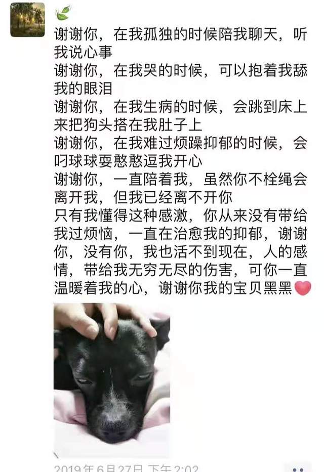 万思维现实的女朋友图片