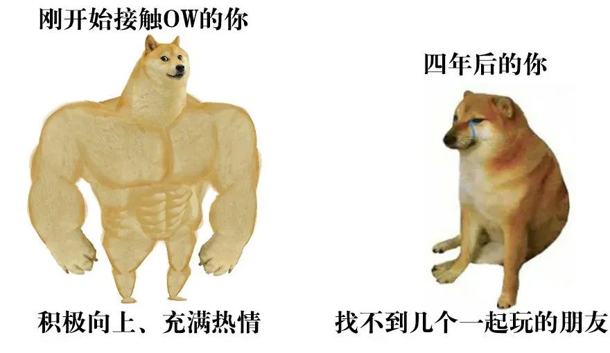 猫猫表情包是鉴定渣男的利器,而这款表情包,则记录了最弟弟的你