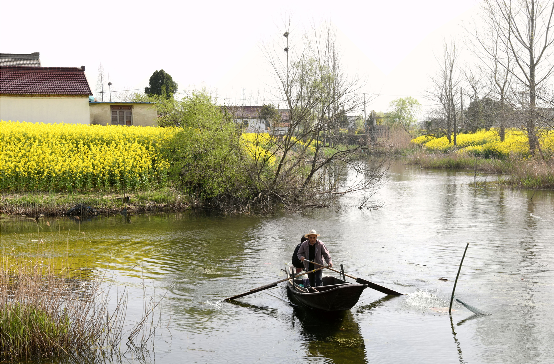陈海量摄影作品欣赏——海安里下河风光