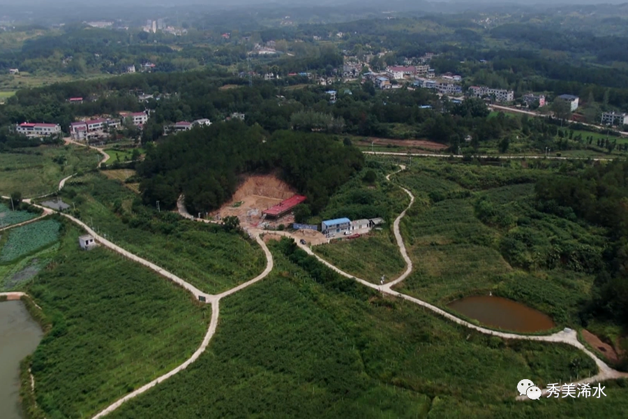 「持续优化营商环境」蔡河镇:服务项目发展,夯实经济"底盘"