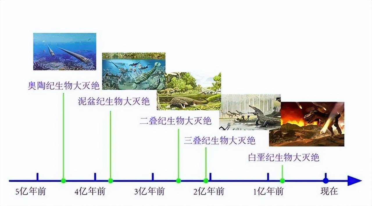 第五次生物大灭绝图片