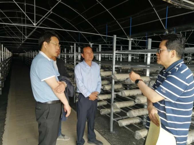 【西和帮扶】省政协副秘书长张效林深入姜席镇检查指导产业发展工作