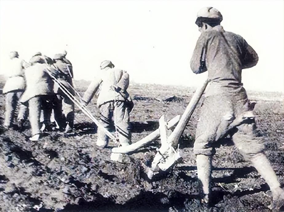 新疆生产建设兵团有多厉害?戍守边疆60年,将新疆改成塞外粮仓!
