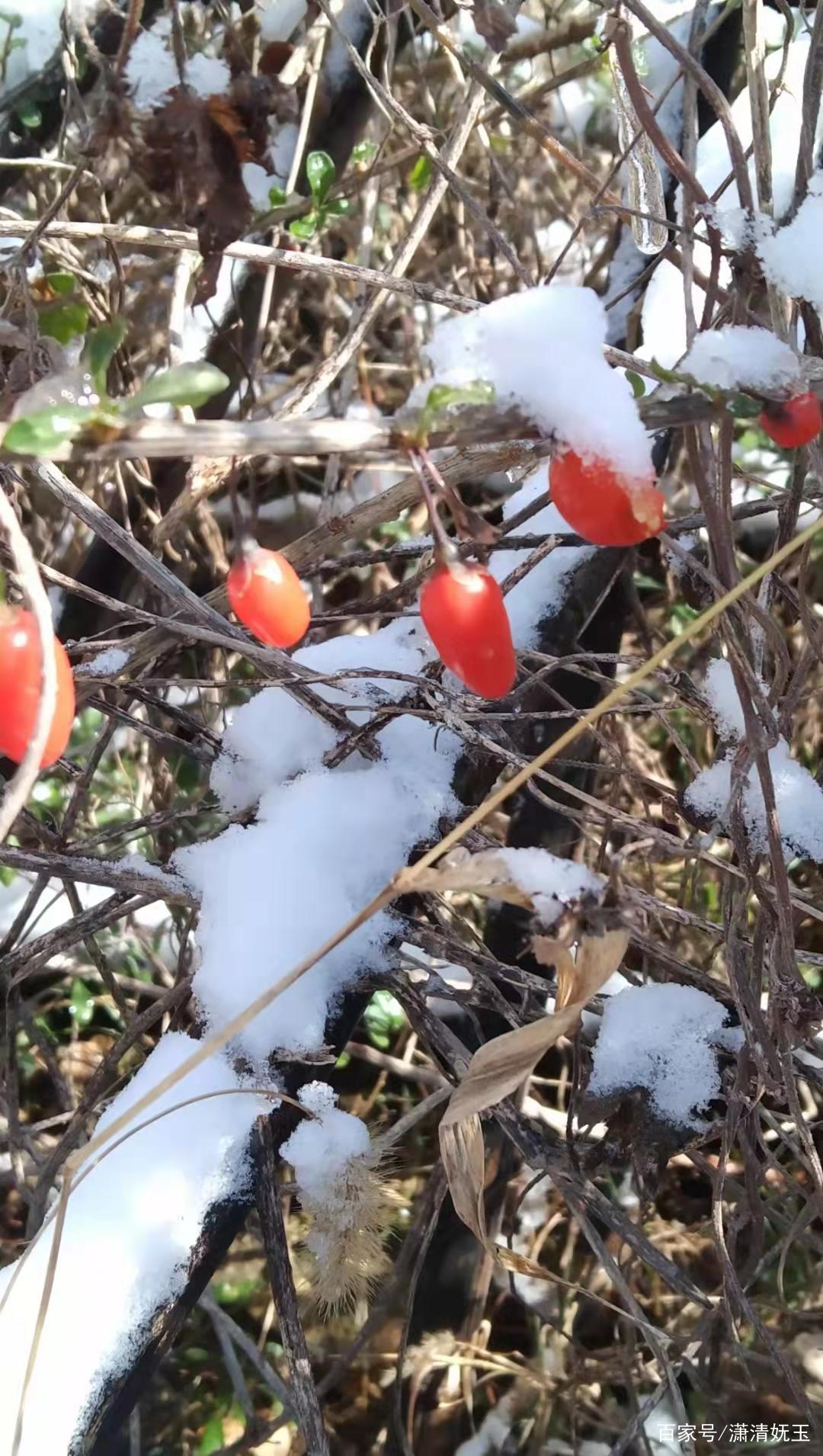 立冬为什么不能在娘家过为什么在线