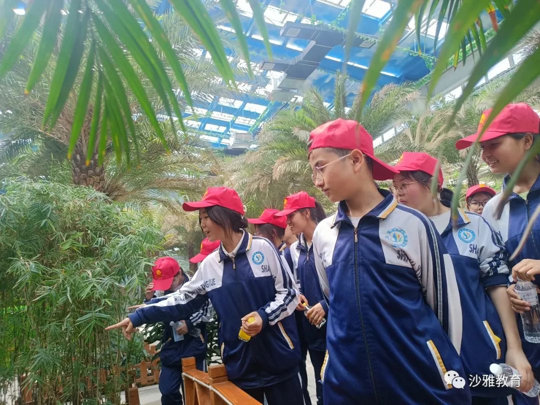 沙雅县第七中学开展户外研学实践活动