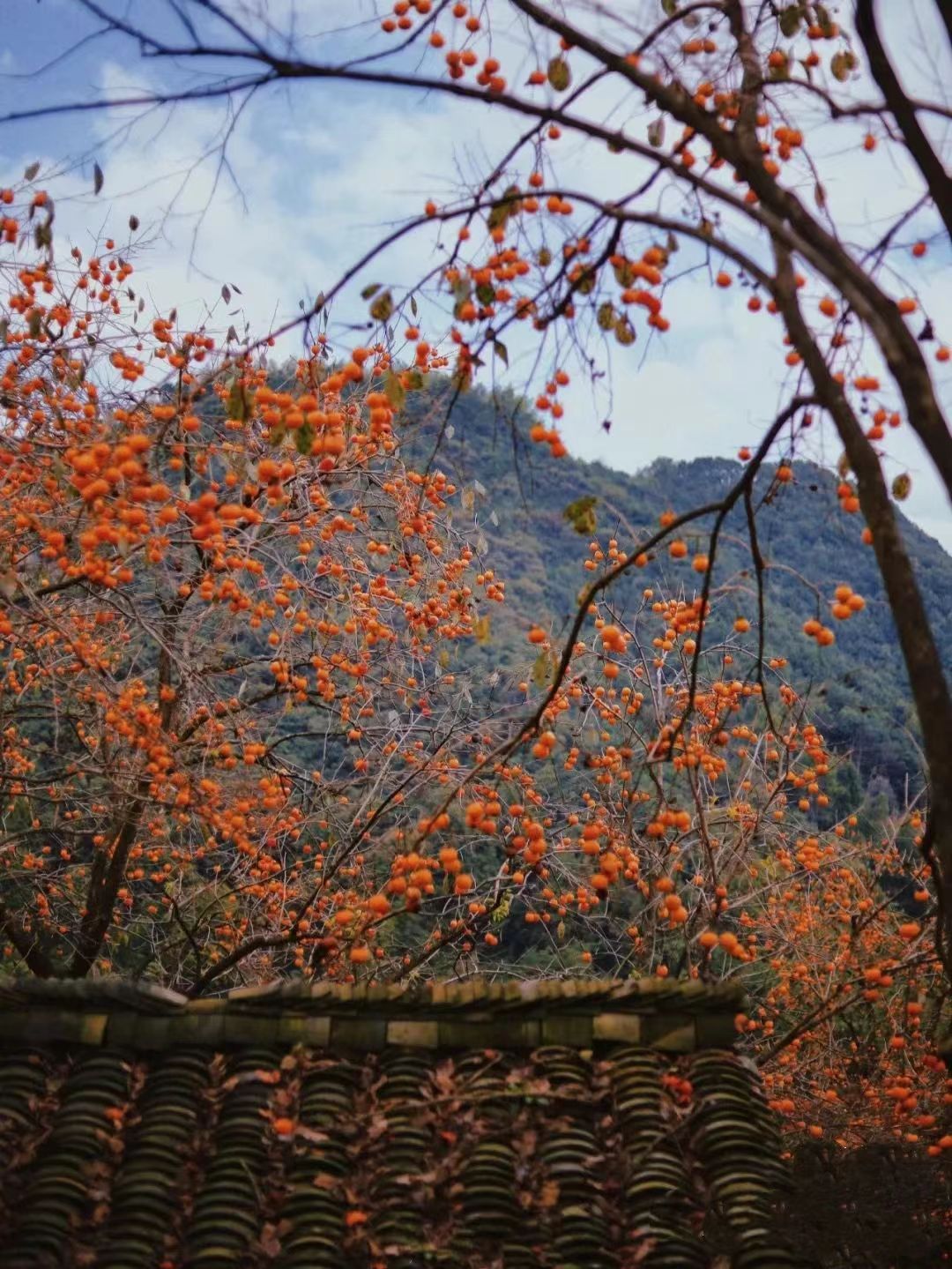 四明山在哪里图片