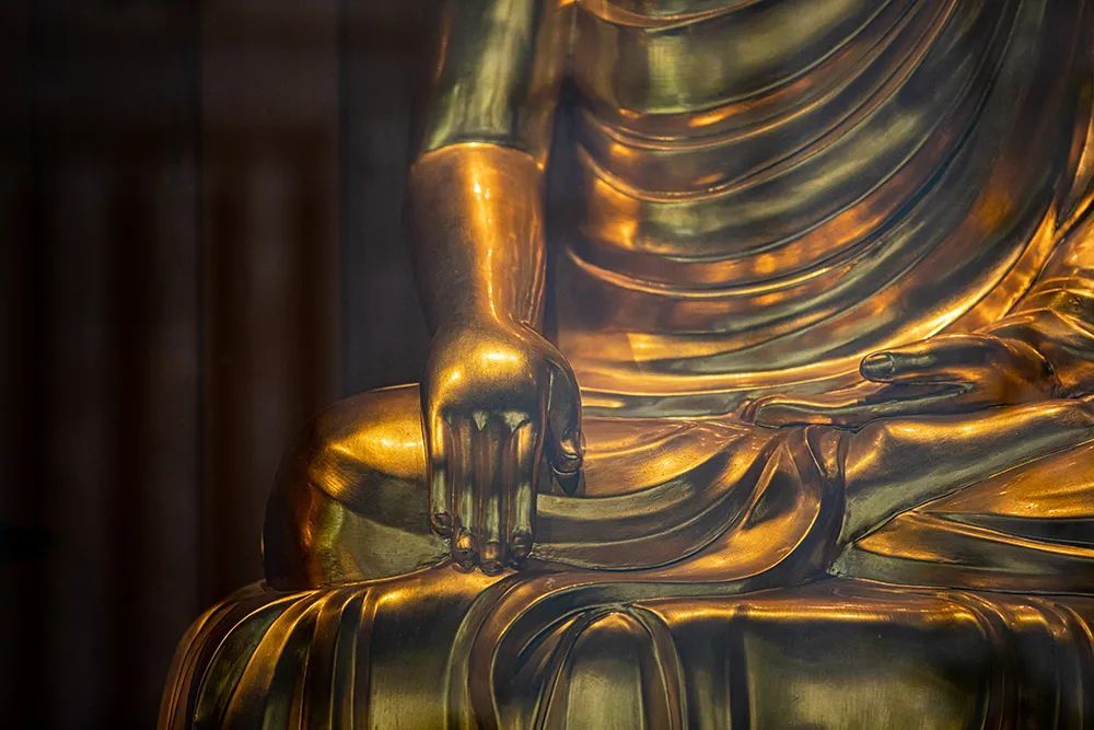 "大雄"是什么意思?你了解吗