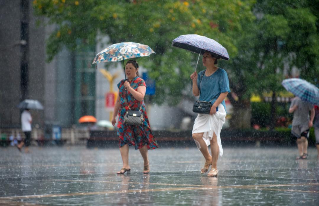 风雨扫荡图片