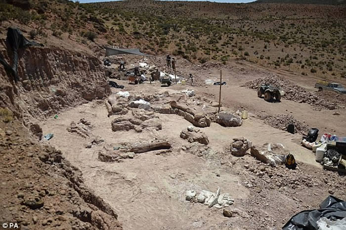 阿根廷巴塔哥尼亚发现迄今最大恐龙——巴塔哥泰坦龙