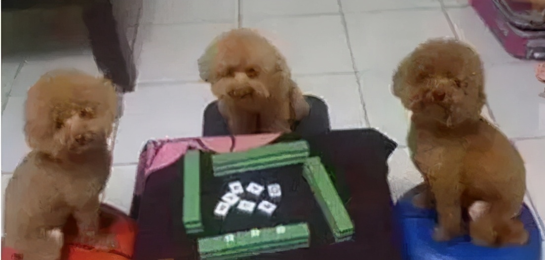 走下神坛的"麻将之神"