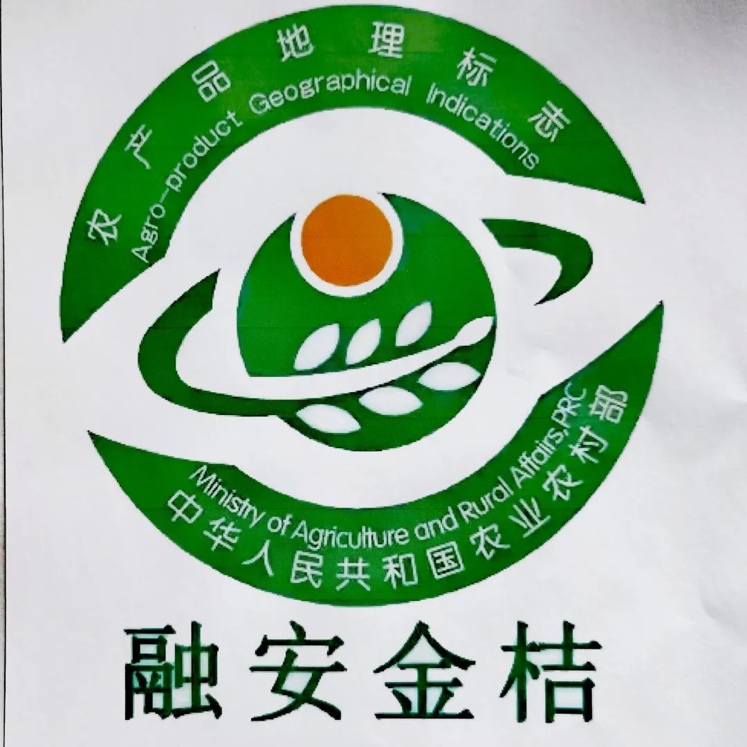 "融安金桔"有logo啦    今年11月8日上市