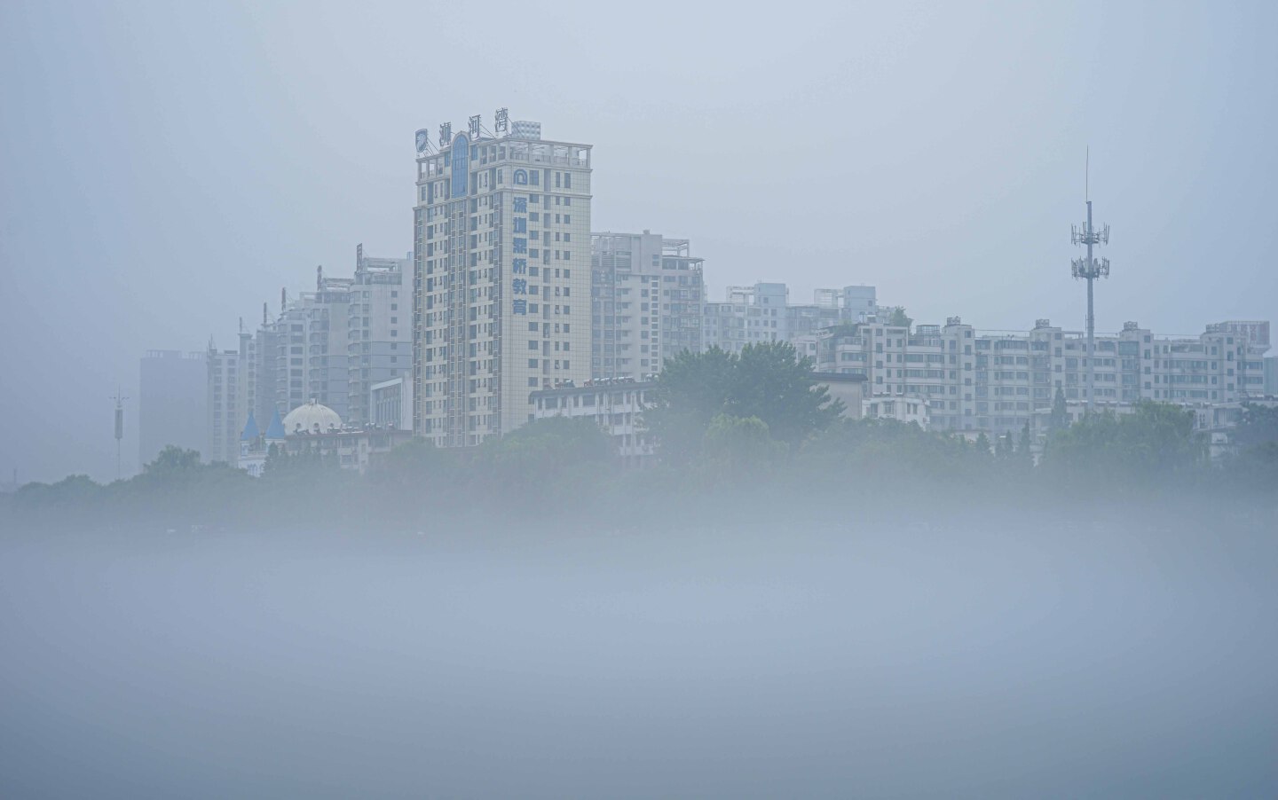 信阳浉河美景:飞越迷雾