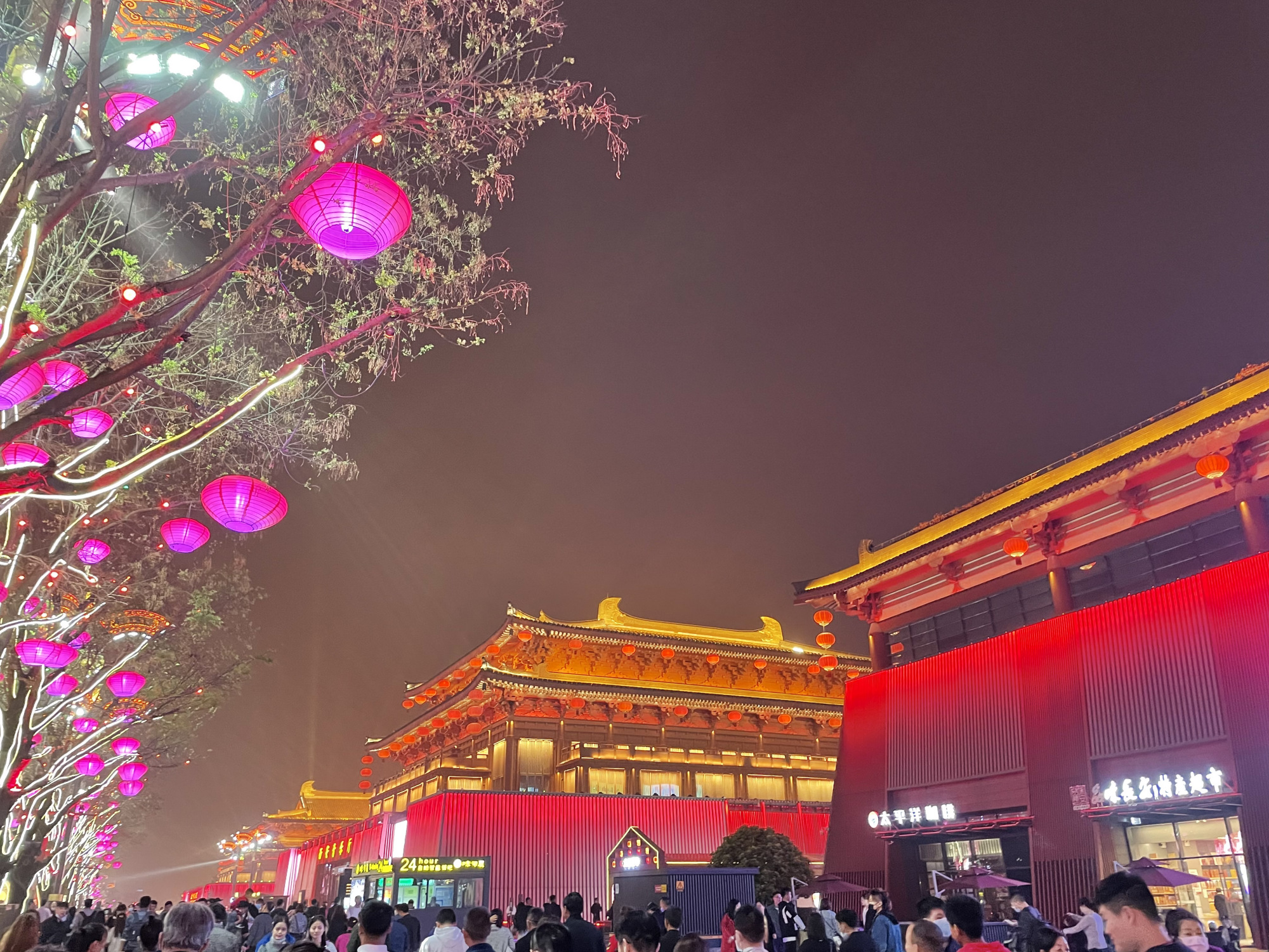 如果你想去旅游,不妨去西安看看吧,看看长安城内万盏灯起