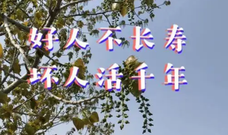 俗语说:"好人不长寿,祸害遗千年",这句话真正的意思是什么?