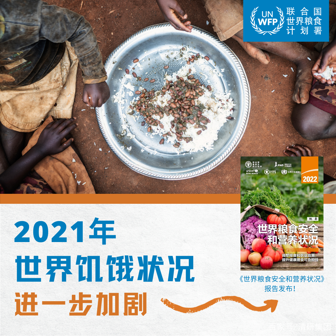世界糧食安全和營養狀況：全球8.28億人面臨饑餓