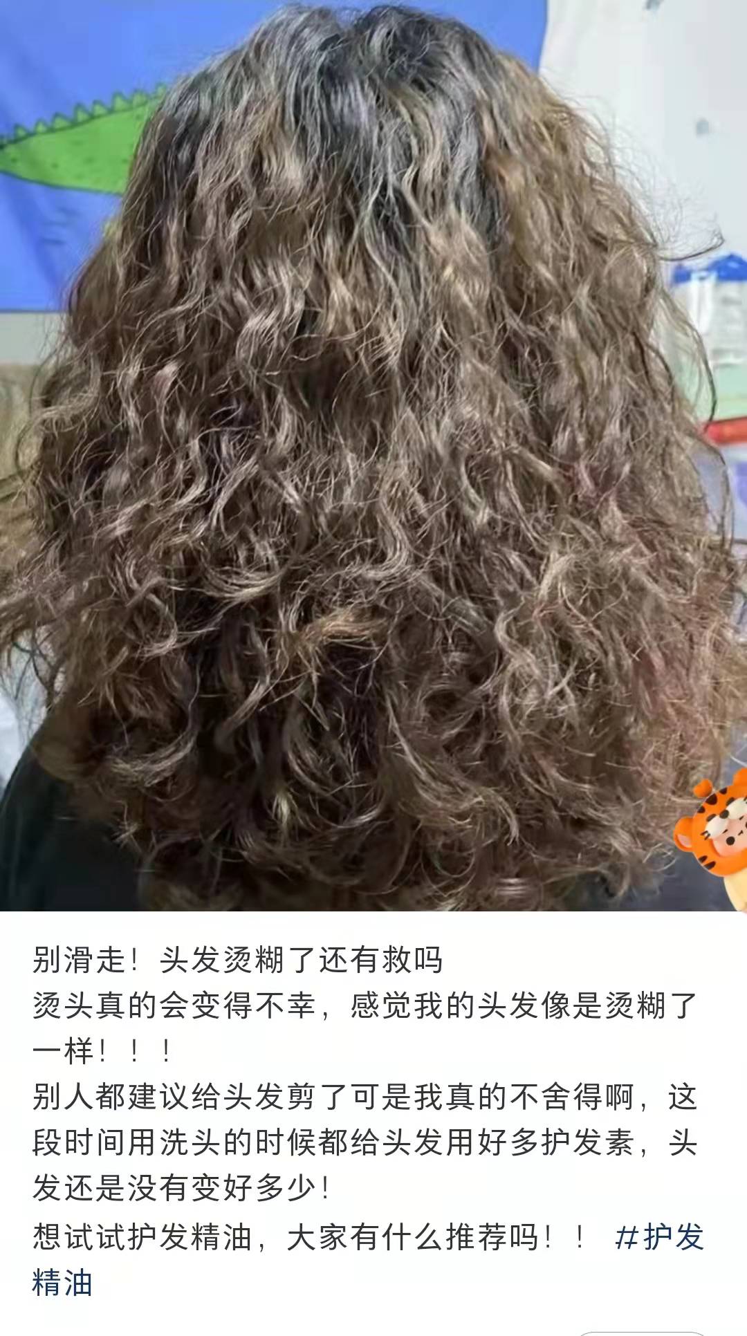 羊毛卷失败图片图片