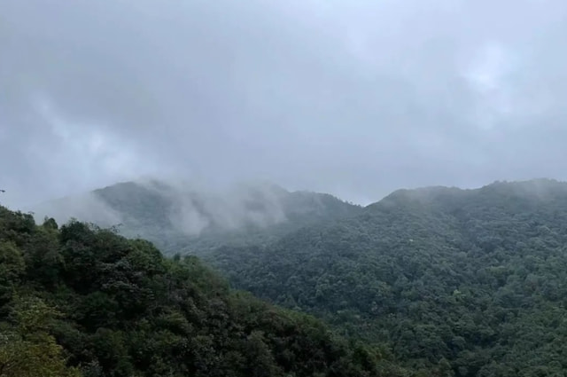 神秘的哀牢山 多年前发生的离奇事件再次引人关注