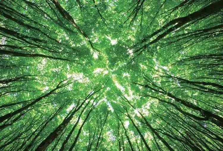 提升摄影作品水平,构图好坏很关键