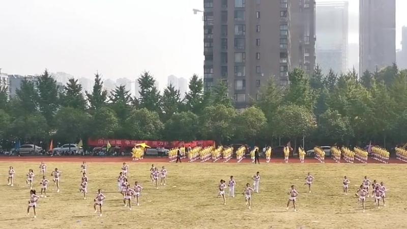 手球操运动会表演,舞蹈,广场舞,好看视频