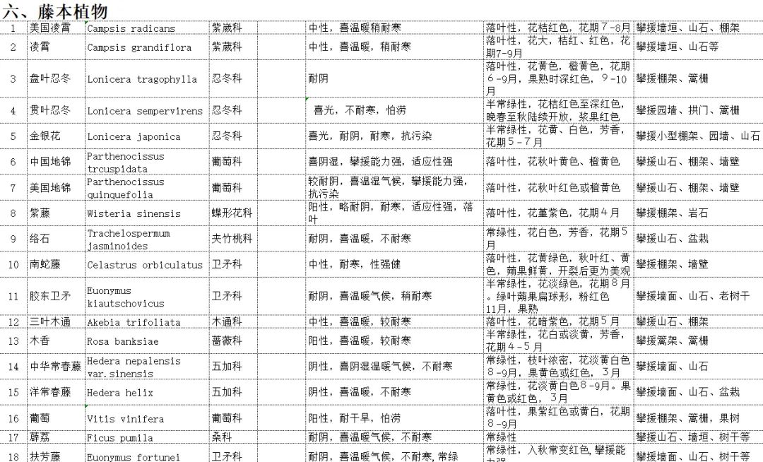 植物图片大全（各种植物图片及名称） 第96张