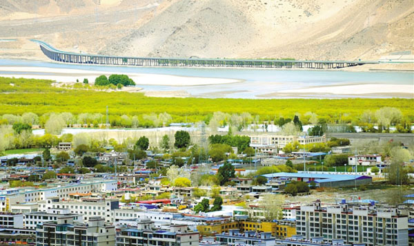 山南市造林绿化工作:守护青山绿水 建设美丽雅砻