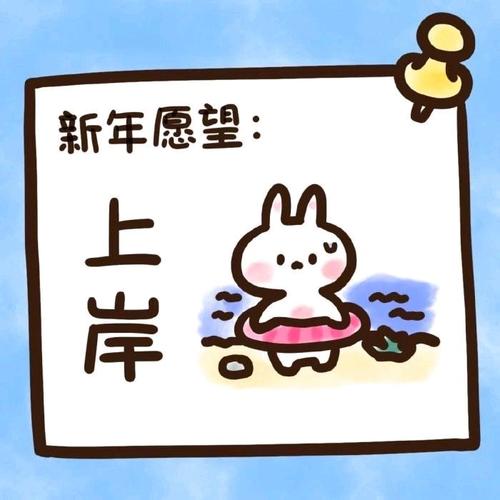 "上岸"是什么意思,"上岸"可以用在什么场景?