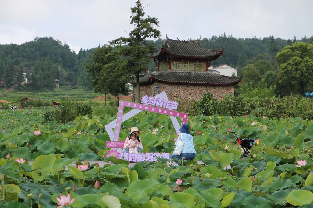 全国示范!南田武阳入选