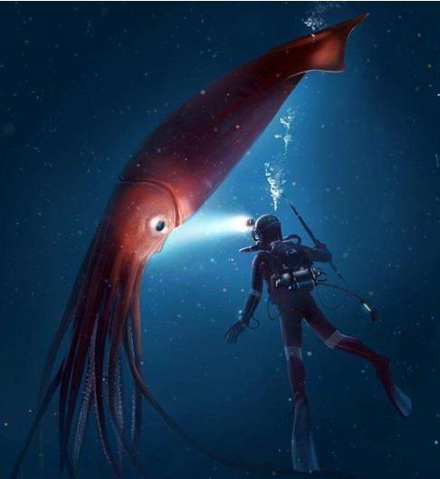 说章鱼为什么会成为海上的霸王呢?