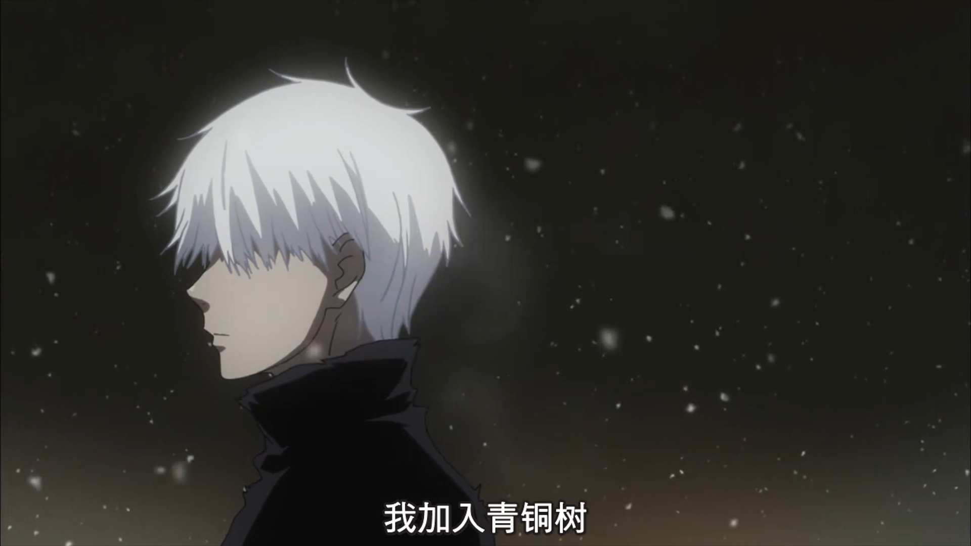 金木研为何加入青铜树?