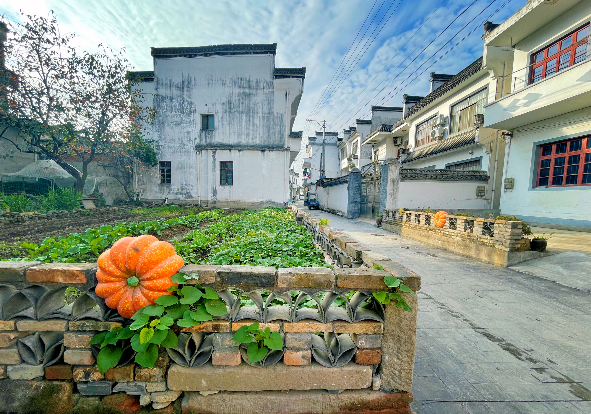 徽州区岩寺镇:用心书写2021年"民生满意答卷"