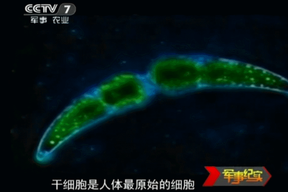 948_633gif 动态图 动图