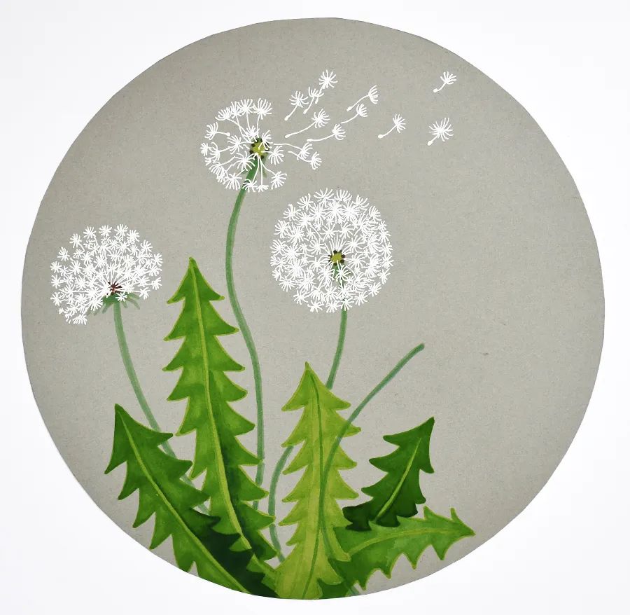 儿童画教程|儿童创意美术教案——奇妙的植物旅行家蒲公英